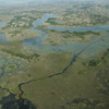 The Okavango Delta, as viewed from an aircraft
