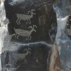 Ginkgo Petrified Forest State Park -- Petroglyphs