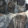 Ginkgo Petrified Forest State Park -- Petroglyphs