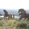 Wild Horses Monument: The horse statues seem alive, not static
