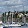 forest of masts, Royal Yacht Club