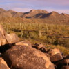 Prehistoric Rock Art, Saguaro National Park, Tucson