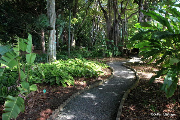 A tropical oasis: Wahiawa Botanical Garden, Oahu | TravelGumbo
