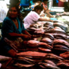 Iquitos Market.  Fish from the Amazon