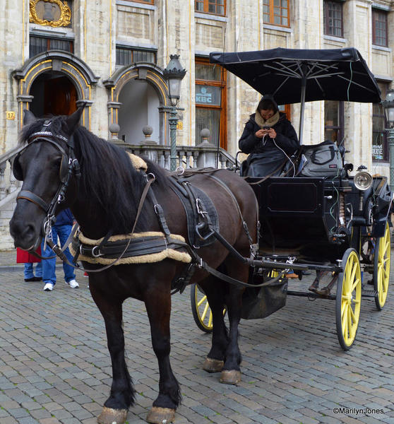 Horse-drawn carriage tours are available in the heart of Brussels.