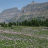 Glacier National Park -- Meadow and Garden Wall