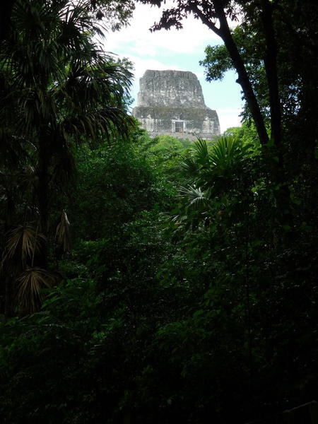 29a 272015-11 Guatemala Tikal 144