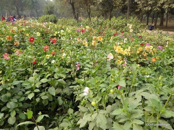 08 Lodhi Gardens, Delhi 02-2016 (12)