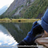 Watching Grizzly bears from the Zodiac