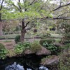 Omiya park: Omiya park