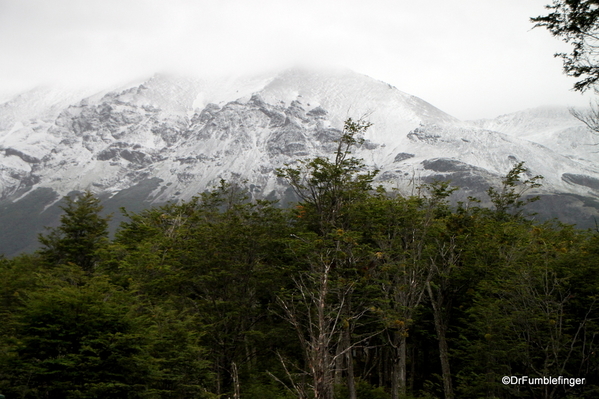 07 Tierra del Fuego National Park