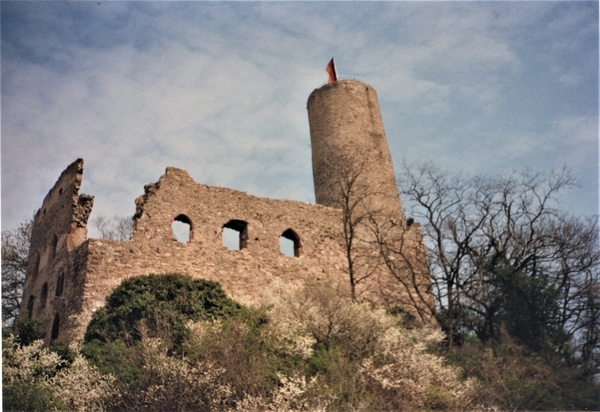 Strahlenburg Castle Schriesheim