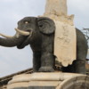 00 Catania Elephant