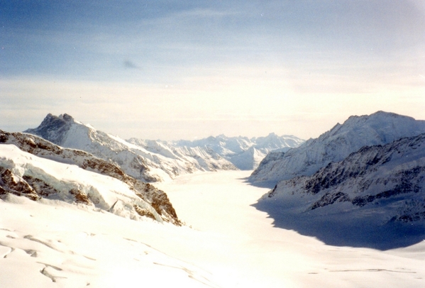 Jungfraujoch View