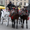 Horse-drawn carriage, Krakow's Market Square