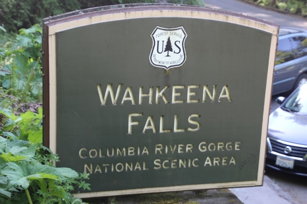 Wahkeena Falls 3