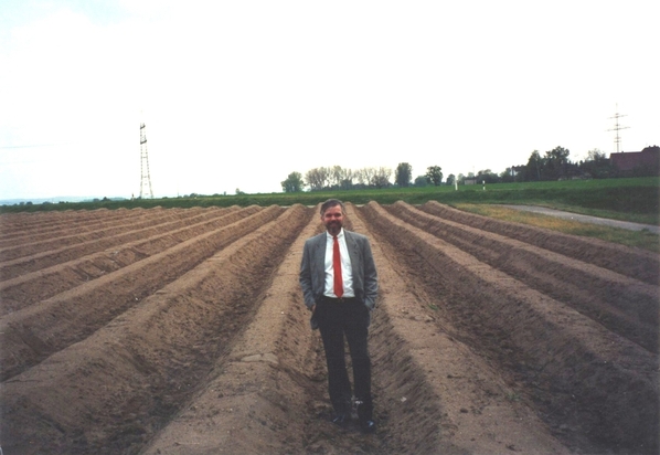 Spargel Field