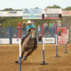 Mule_Days_Rodeo_2000x1500_72dpi_-credit_Ken_Tart-_2C225B6E-00E7-4A72-6C4B722EF5915ACE