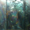 Two Oceans Aquarium