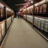 Hall of Gold, Graceland, Memphis