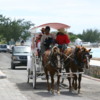 03-carriage-ride-grand-turk