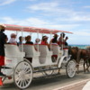 04-carriage-ride-grand-turk