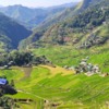 Batad Rice Terraces