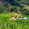 Batad Rice Terraces