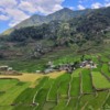 Batad Rice Terraces