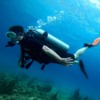 Tranquil waters while SCUBA diving