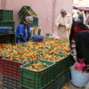 03 Tafraout weekly market