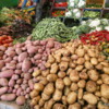 09 Tafraout weekly market