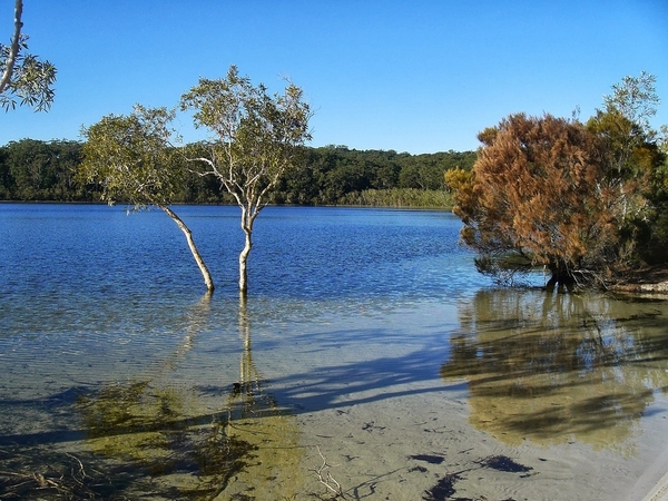 21_fraser-island-319887_1280_Laurence