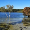 21_fraser-island-319887_1280_Laurence