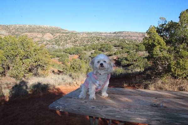 Palo Duro Canyon Park - Dolly