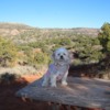 Palo Duro Canyon Park - Dolly