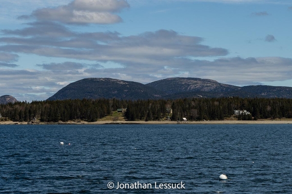 36 hours bar harbor-9