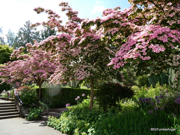 10 VanDeusen Botanical Garden