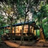 1_South-Africa-Phinda-Forest-Lodge-Room-Suite-exterior-view-Collections-3000w