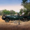 6_South-Africa-Phinda-Private-Game-Reserve-Game-Drive-Leopard _8_-Collections-3000w