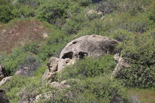 Pictograph Cave State Park - Skull