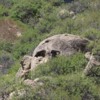 Pictograph Cave State Park - Skull