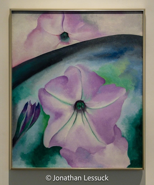 Georgia O'Keeffe Museum-11