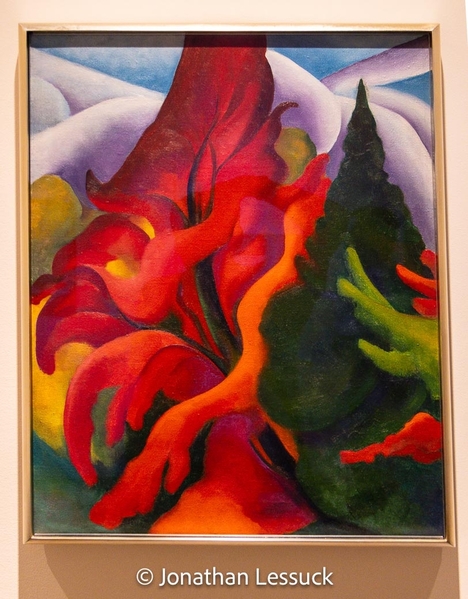 Georgia O'Keeffe Museum-12