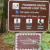 Founder's Grove of Redwoods, California