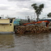 Moving logs downriver, Rio Parana, El Tigre, Argentina