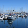Monterey Harbor, California