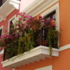 Flowery Balcony in Old San Juan