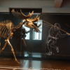 Early man meets Mammoth