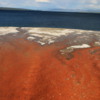 Colorful geothermal (bacterial) mats, above Lake Yellowstone.  West Thumb geothermal region, Yellowstone National Park